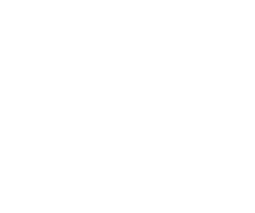 Sudisha Aviation